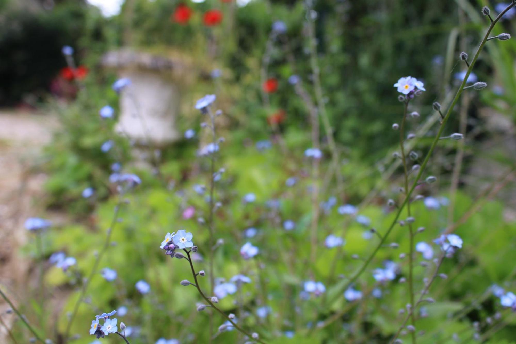 Le Gite Du Chene Rouvre Corbeil-Cerf ภายนอก รูปภาพ