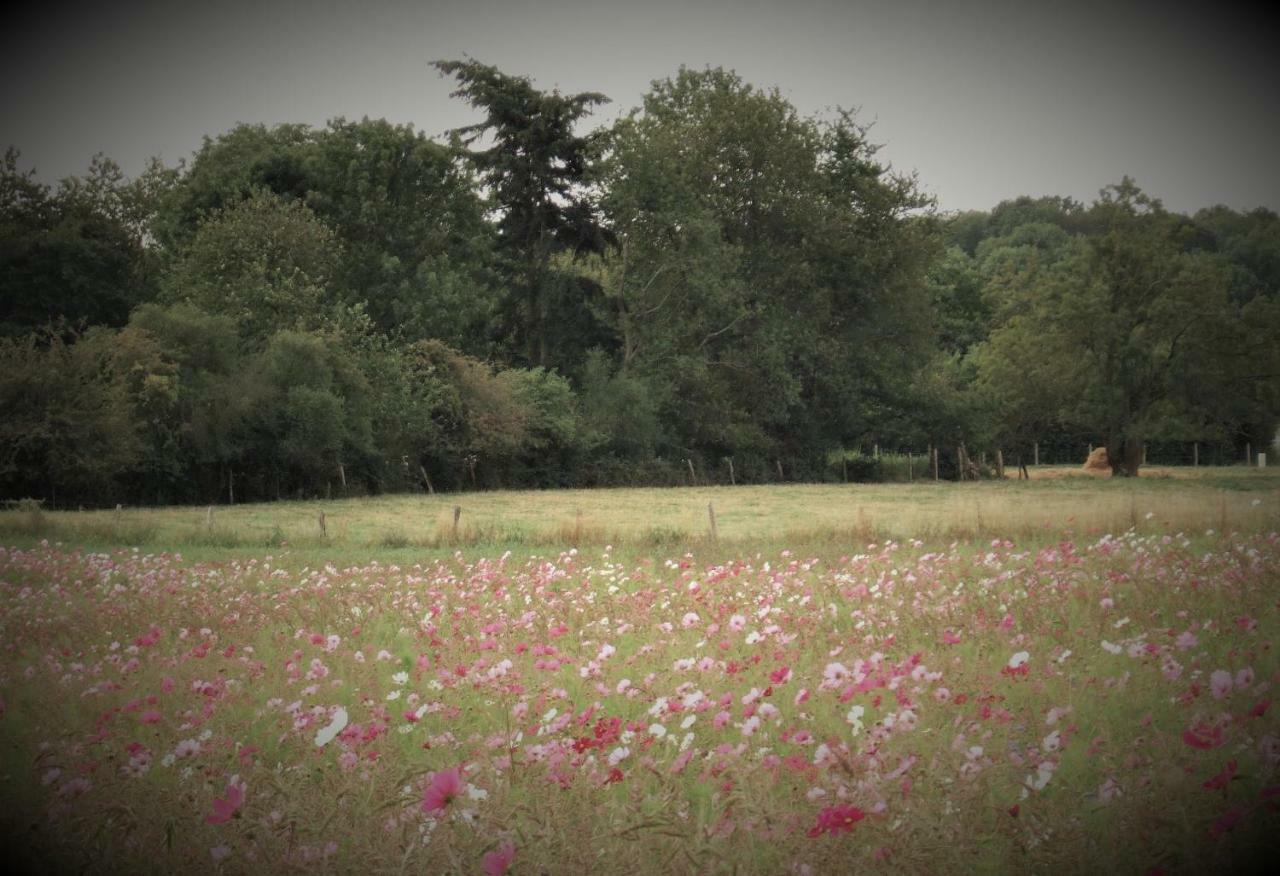 Le Gite Du Chene Rouvre Corbeil-Cerf ภายนอก รูปภาพ
