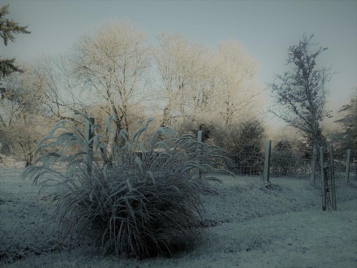 Le Gite Du Chene Rouvre Corbeil-Cerf ภายนอก รูปภาพ